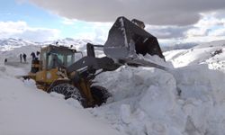 Bitlis’te karla mücadele Mart ayında da sürüyor