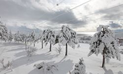 Bitlis Valiliği’nden kuvvetli yağış uyarısı