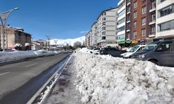 Bitlis’te kar hayatı zorlaştırdı: 82 Köy yolu kapandı