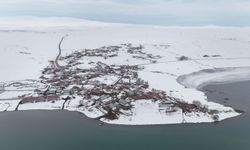 Kar örtüsü altındaki Dilburnu Köyü kartpostallık görüntüler oluşturdu