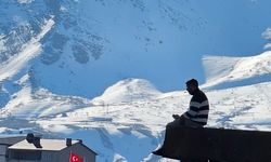 Tatvan’da dalgalanan Türk bayrağı ve dağ manzarası dikkat çekti