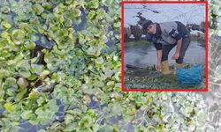 Ahlat’ta iftar sofraların vazgeçilmezi "Godumluk"