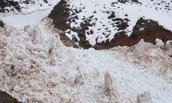 Hizan’da çığ köy yolunu kapattı