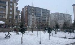 Tatvan’da kar yağışı yeniden etkili oldu