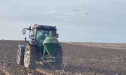 Adilcevaz’da arpalar toprakla buluşuyor