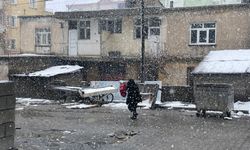 Tatvan’da Mart ayının son gününde kar sürprizi