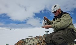 Süphan Dağı’nda doğa yürüyüşü ve kahve keyfi