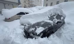 Bitlis’te Mart karı araçları kara gömdü
