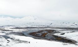 Karlı Süphan Dağı ile Sarısu Sazlıklarında doğa şöleni