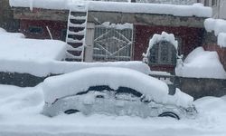 Tatvan’da kar kalınlığı yer yer 1 metreyi buldu