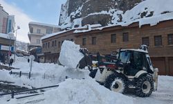 Bitlis’te kar yağışı sonrası belediye ekipleri seferber oldu