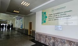 Tatvan Devlet Hastanesi’nde moral veren dokunuş