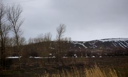 Bitlis’te yamaçlardaki karlar eriyor, doğa yeniden uyanıyor