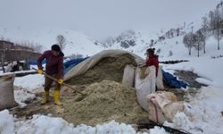 Bitlis’te kışa rağmen üretim sürüyor