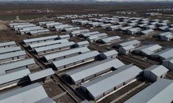 Ağrı’da 307 ahırlık dev hayvancılık projesi başlıyor