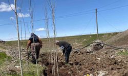 Ağrı'da dayanışma toprağa can verdi