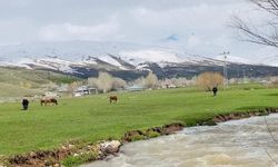 Ağrı'da iki mevsim bir arada yaşanıyor