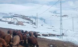 Ağrı'da nisan ayında beklenmeyen kar yağışı ulaşımı felç etti