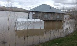 Ağrı'da sağanak yağış dereleri taşırdı