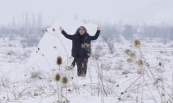 Akademisyenden doğa ve hafıza temalı performans çalışması