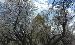 Akdamar Adası'nda 23 Nisan yoğunluğu yaşandı