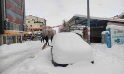 Ardahan nisan ayında beyaza büründü