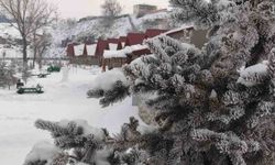 Ardahan'da kar sonrası dondurucu soğuklar etkisini sürdürüyor