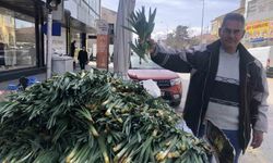 Baharın şifası çiriş otu Erzincan’da tezgahlarda
