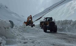 Bahçesaray yolunda çalışmalar yeniden başlatıldı