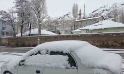 Başkale'de nisan ayında kar yağışı sürüyor