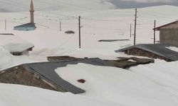 Bülbülan Yaylası'nda evler kara teslim oldu