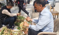 Elazığ’da baharın lezzeti: Yöresel otlar tezgahlarda