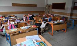 Elazığ'da öğrencilere afet farkındalığı eğitimi verildi