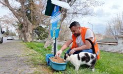 Elazığ'da sokak hayvanlarına mama desteği