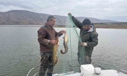 Elazığ'da su ürünleri araştırma çalışmaları devam ediyor