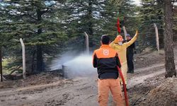 Elazığ’da Türkiye ormancılık yarışmaları heyecanı yaşandı