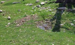 Gülistan Doku dosyasında kritik detay: İddia edilen nokta havadan incelendi