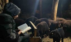 Gündüz hayvan bakıyor gece hayallerinin peşinden koşuyor