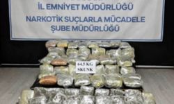 Hakkari'de 64,5 kilogram skunk yakalandı