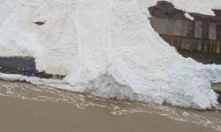 Hakkâri'de dev çığ Zap Suyu'nun önünü kesti