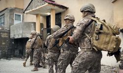 Hakkari'de kaçakçılık şebekesine darbe