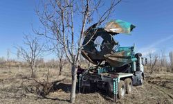 Iğdır’da 77 kiraz ağacı taşınarak hayata tutundu