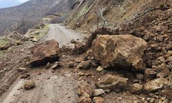 Karakoçan'da heyelan meydana geldi