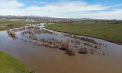Kars Çayı taştı, meralar sular altında kaldı