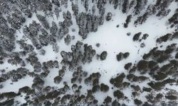 Kars’ta kış manzarası: Ormanlar ve tarlalar karla kaplandı