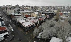 Kars’ta soğuk hava etkili oldu: Ağaçlar kırağı tuttu