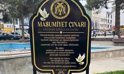 Kaybedilen canlar için ‘Masumiyet Çınarları’ toprakla buluştu