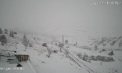 Köye inen kurt sürüsü paniğe neden oldu