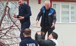 Ağaçta mahsur kalan kedi için ekipler harekete geçti