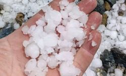 Malatya'da dolu kayısı bahçelerini vurdu